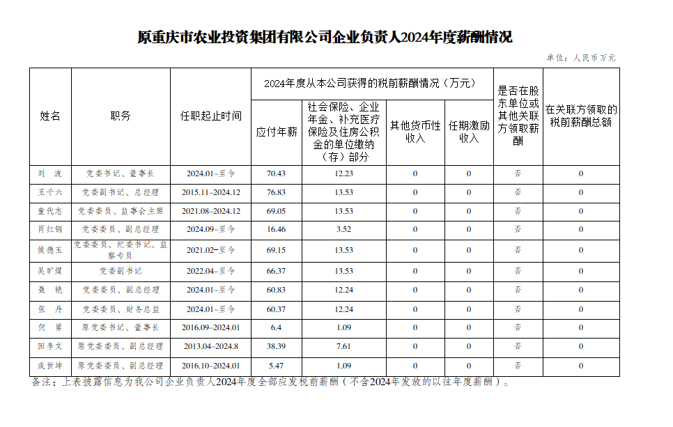 原安博官方网页版企业负责人2024年度薪酬情况.png